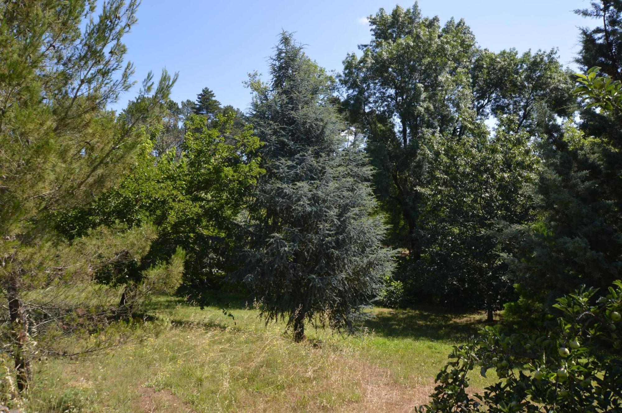 Mas Des Druilles Bed & Breakfast Generargues Екстериор снимка