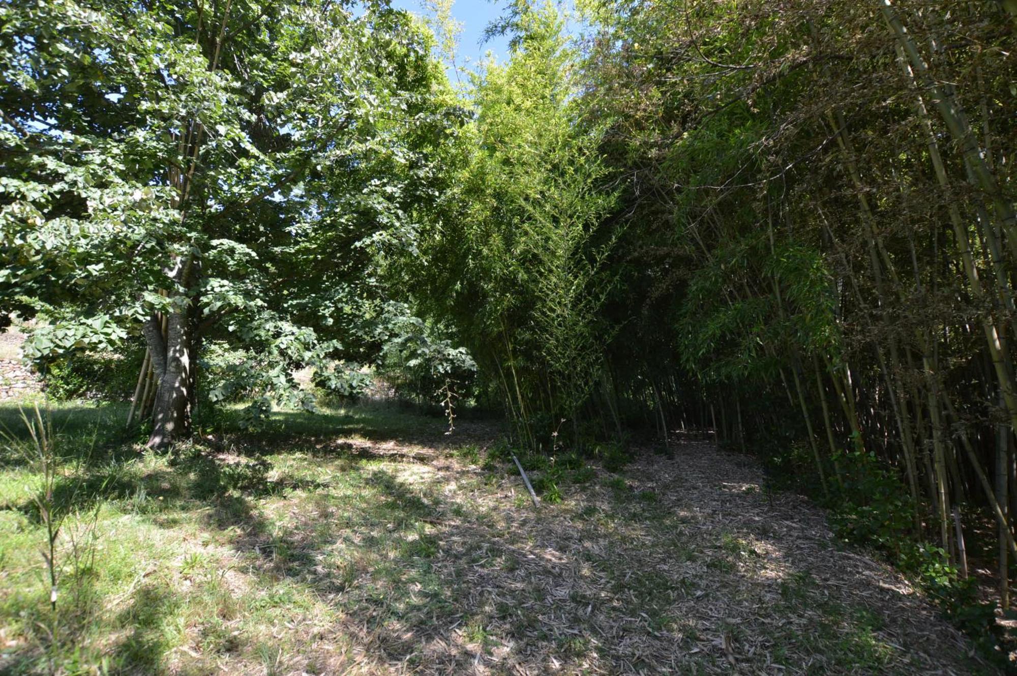 Mas Des Druilles Bed & Breakfast Generargues Екстериор снимка