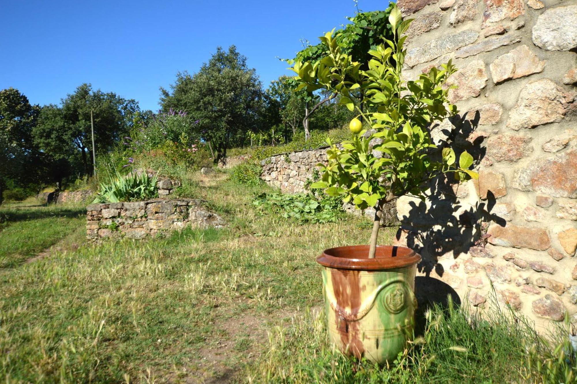 Mas Des Druilles Bed & Breakfast Generargues Екстериор снимка